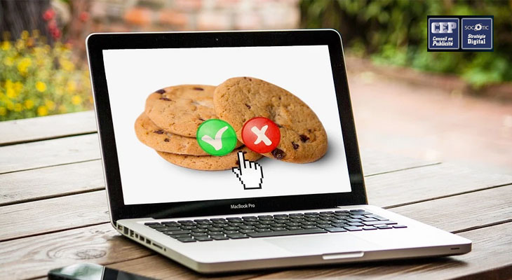 comment gerer les cookies sur son site web et eviter les sanctions de la cnil
