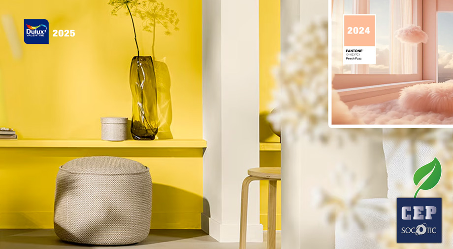 Image illustrant les couleurs de l'année 2025 dulux valentine et pantone actu cep-socotic