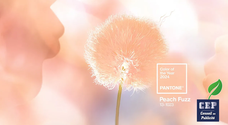 Peach Fuzz, la nouvelle couleur Pantone pour l annee 2024 actu cep-socotic
